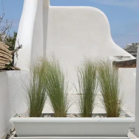 Jardin De Stelida * ستيليدا