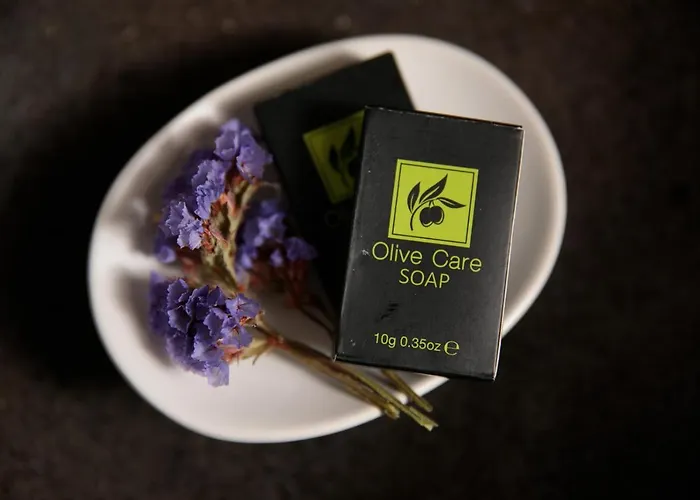 빌라 Jardin De Stelida *