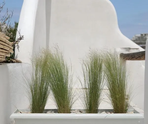 Jardin De Stelida * 스텔리다